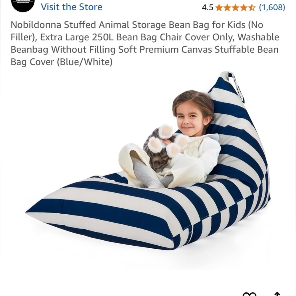 Storage bean bag
